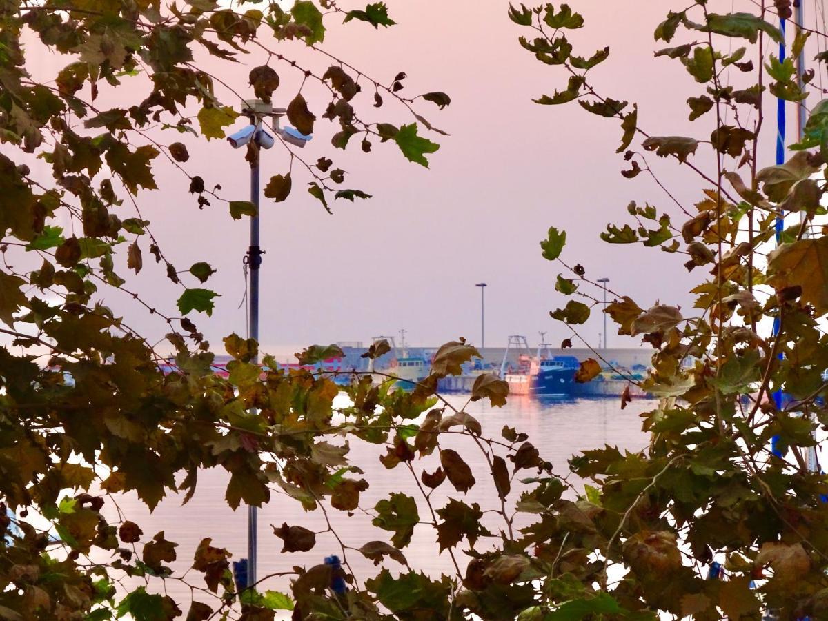 La Finestrella Dell'Arte Un Orizzonte Da Guardare Anzio Exterior foto